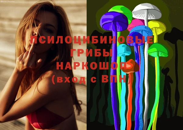 амф Абаза